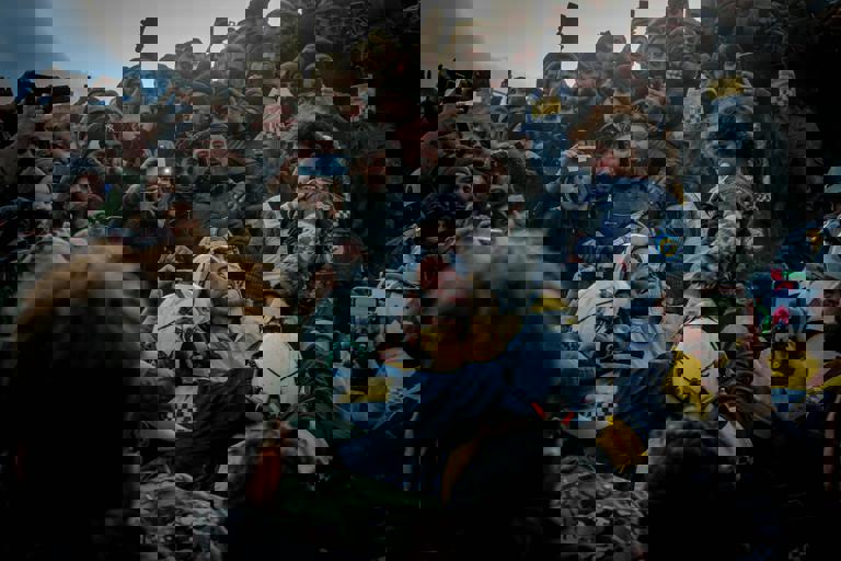 Wildlife Officers Rescue Trapped Deer from Canal As Bystanders Gather to Watch